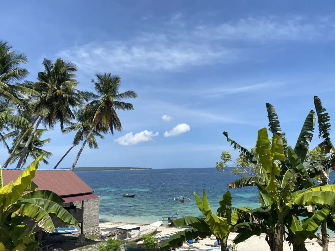 Tropical beach view with palm trees, banana plants, and a small house with a red roof overlooking the blue sea under a clear sky.