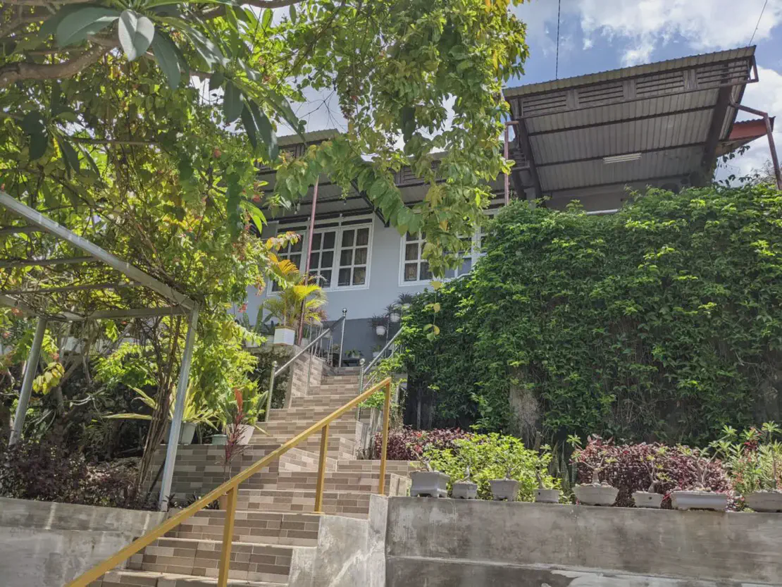 View of a house on a hill with tiled stairs leading up, surrounded by lush greenery, potted plants, and a metal roof structure at the top.