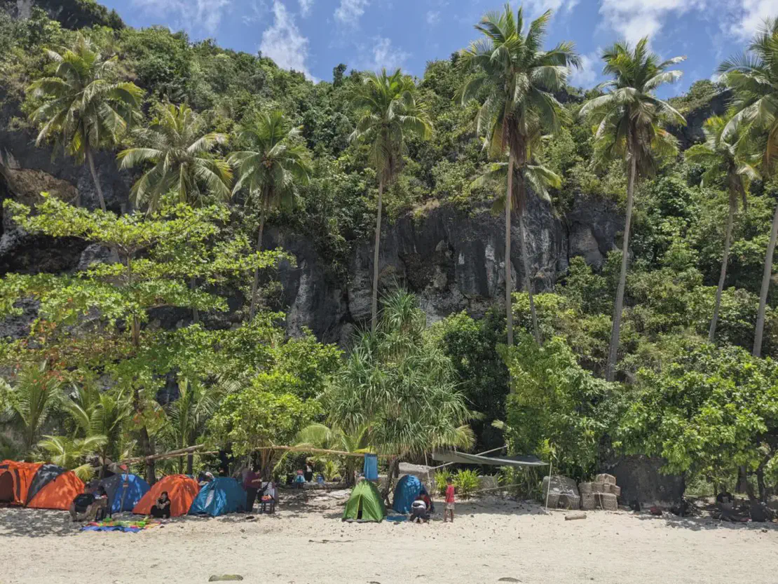 Colorful tents set up on a sandy beach at the edge of a lush tropical forest with tall palm trees and rocky cliffs in the background.