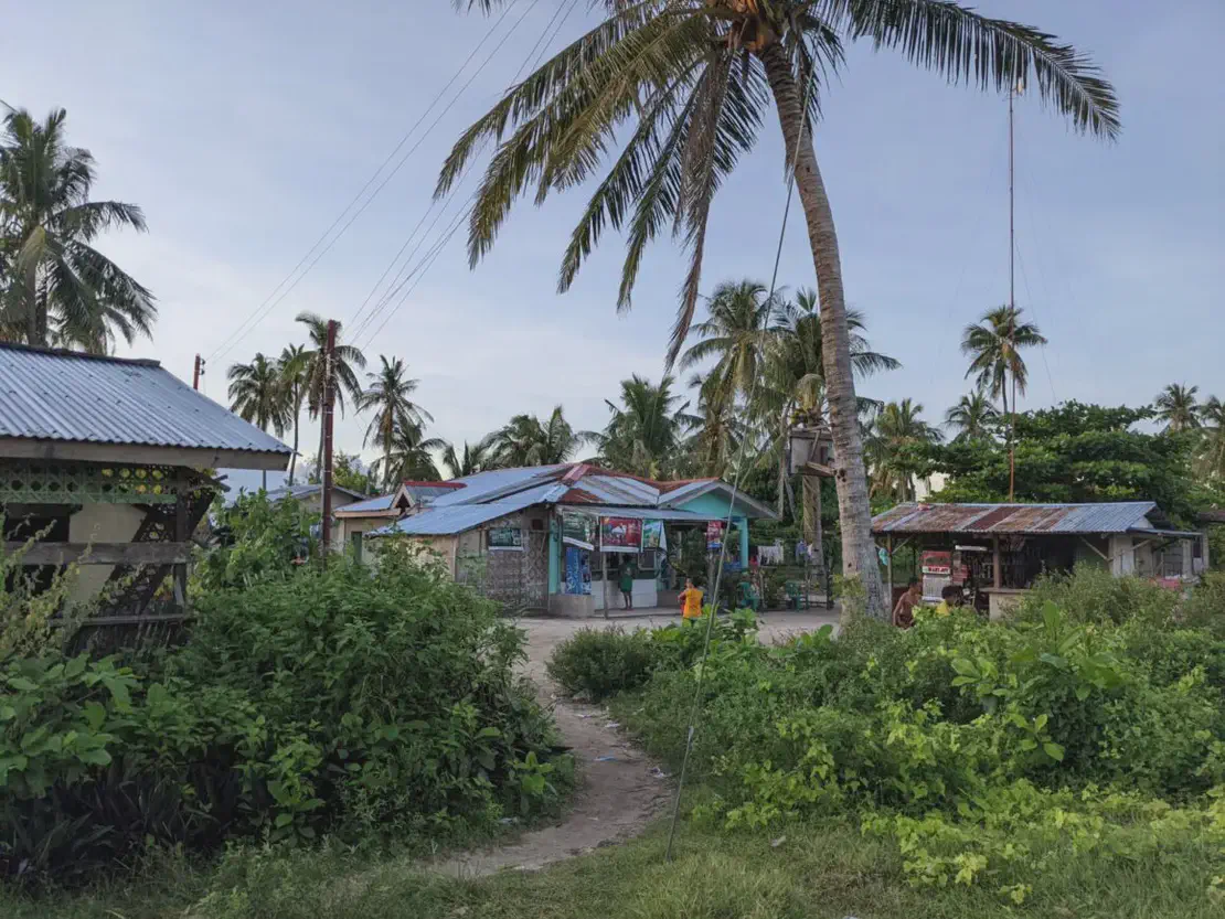 Rural houses with tin roofs surrounded by palm trees and greenery under a clear sky.