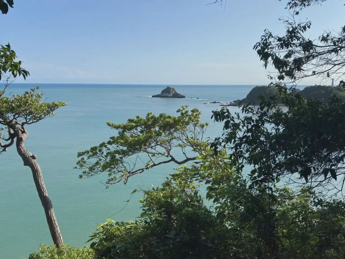 Scenic view of the ocean framed by tree branches, with a small rocky island and coastline in the background.