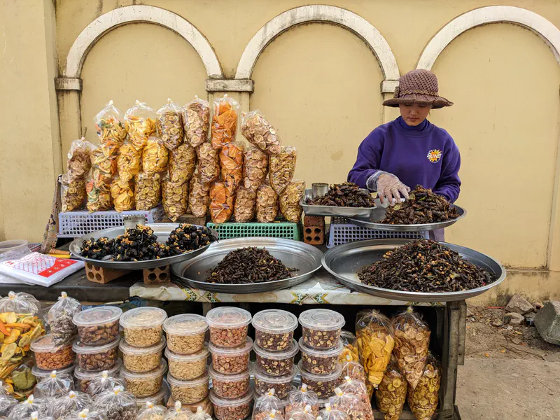 Street vendor selling fried insects and packaged snacks at a market stall.