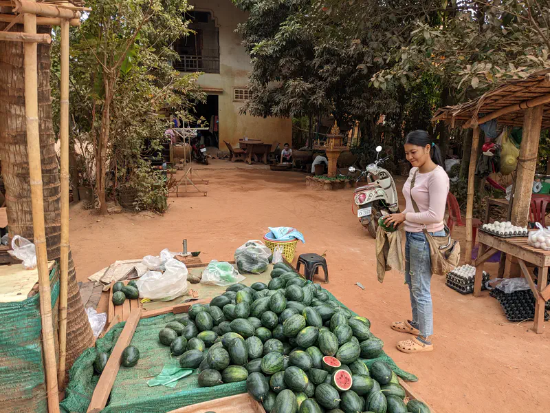 Woman at an outdoor market stall selecting a watermelon from a large pile displayed on a green mat, with eggs and other produce on nearby tables under shade trees.