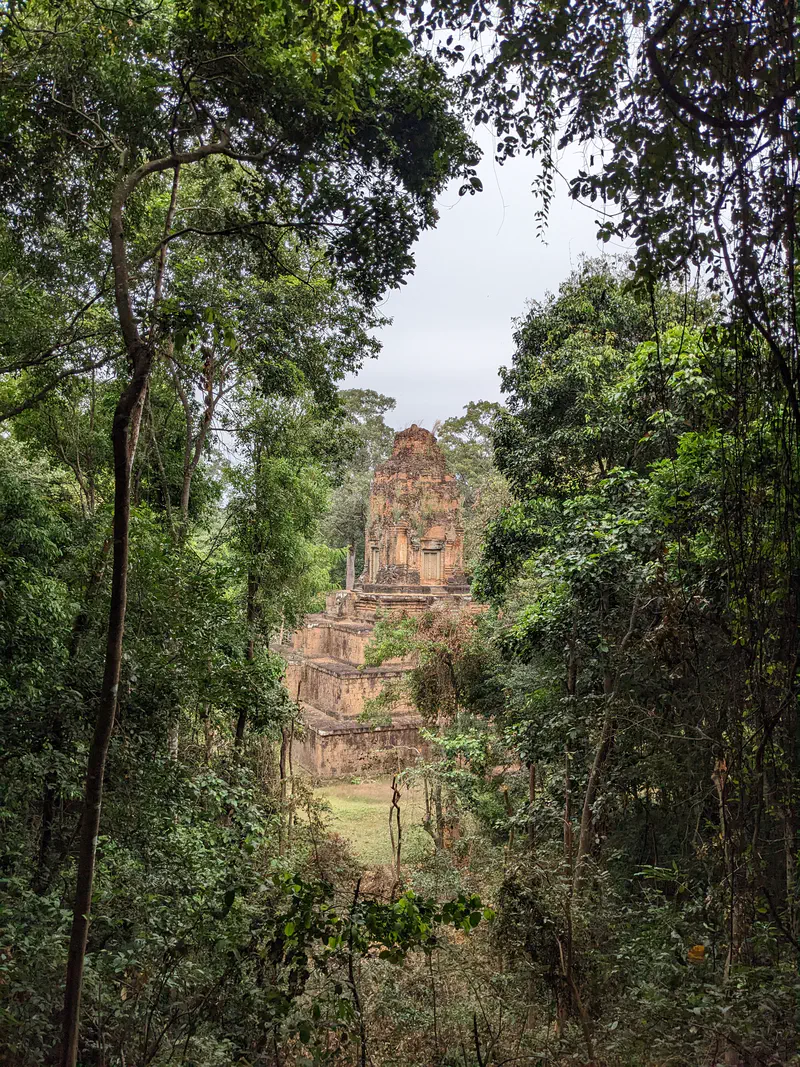 Ancient stone temple partially hidden among dense green forest.
