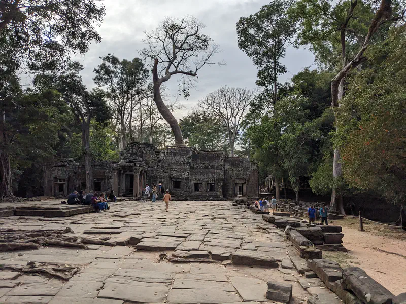 Visitors exploring ancient stone temple ruins surrounded by tall trees at Ta Prohm.