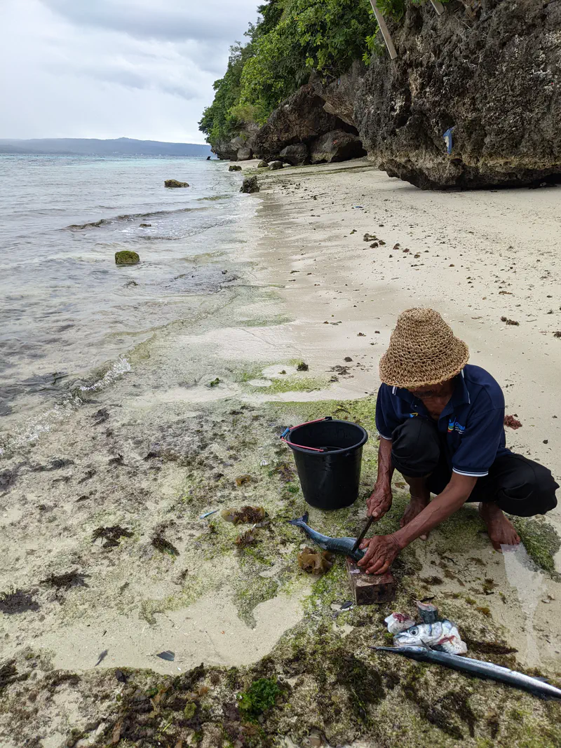 Elderly man in a straw hat cleaning freshly caught fish on a rocky beach with a bucket nearby.