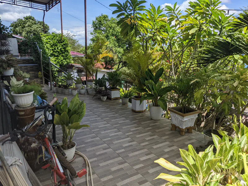 A tiled outdoor terrace filled with potted tropical plants, including palms and leafy greenery, under a clear blue sky.