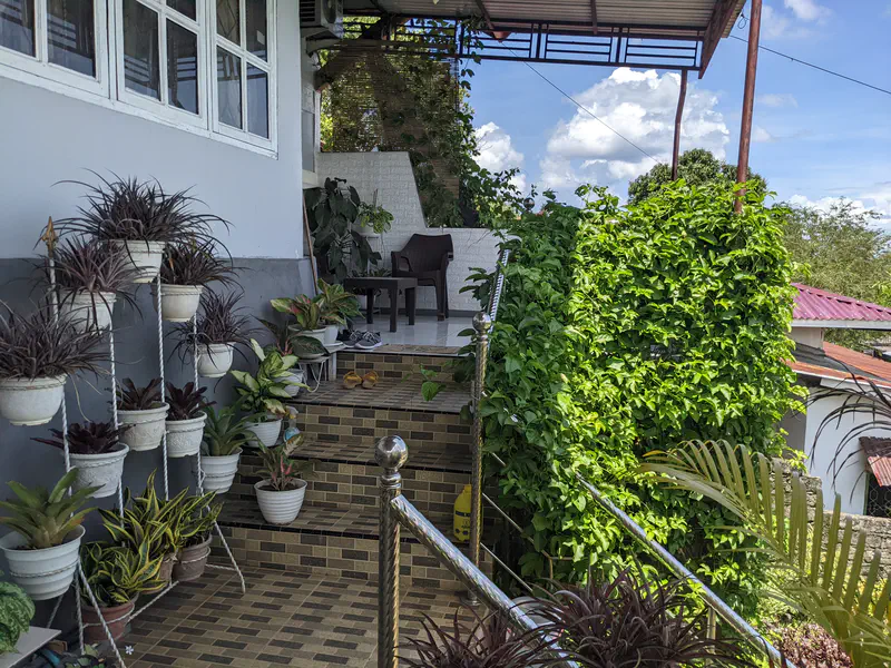 A staircase leading to a house entrance decorated with hanging and potted plants, with a small seating area visible at the top.
