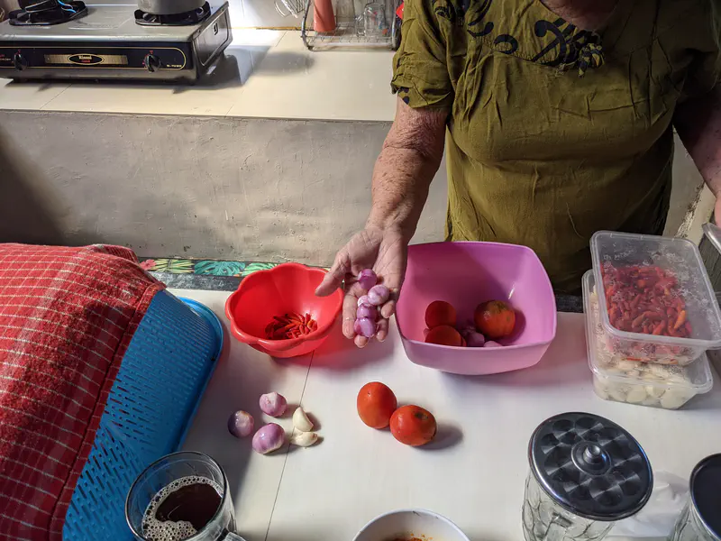 Person holding shallots over a table with tomatoes, garlic, and chilies.