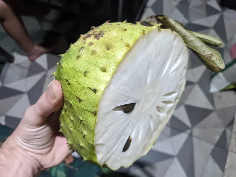 A hand holding half of a soursop fruit, showing its white flesh and black seeds inside