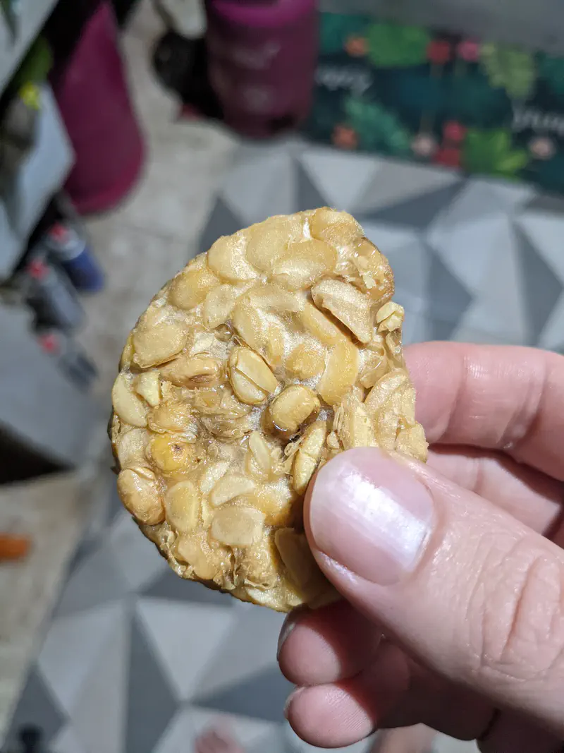 Hand holding a round piece of fried tempeh with visible soybeans, over a tiled floor background.