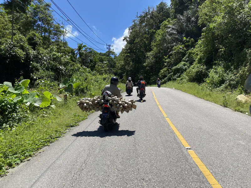 Motorcyclist carrying coconuts along a rural road with other riders ahead.