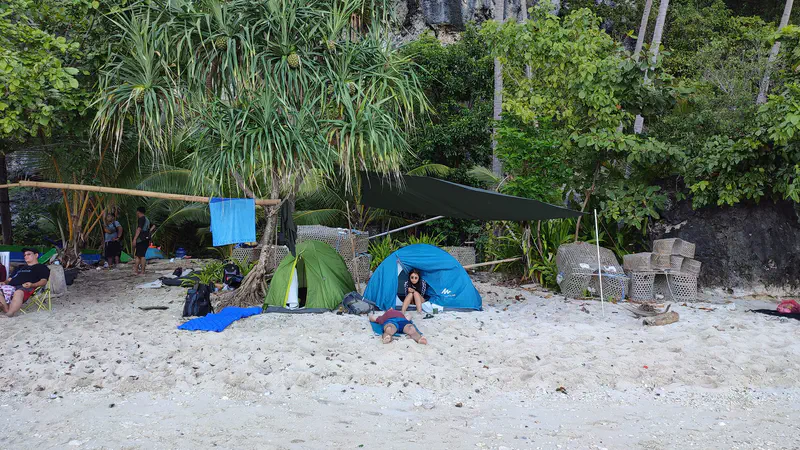 People camping on a beach with tents set up under trees.
