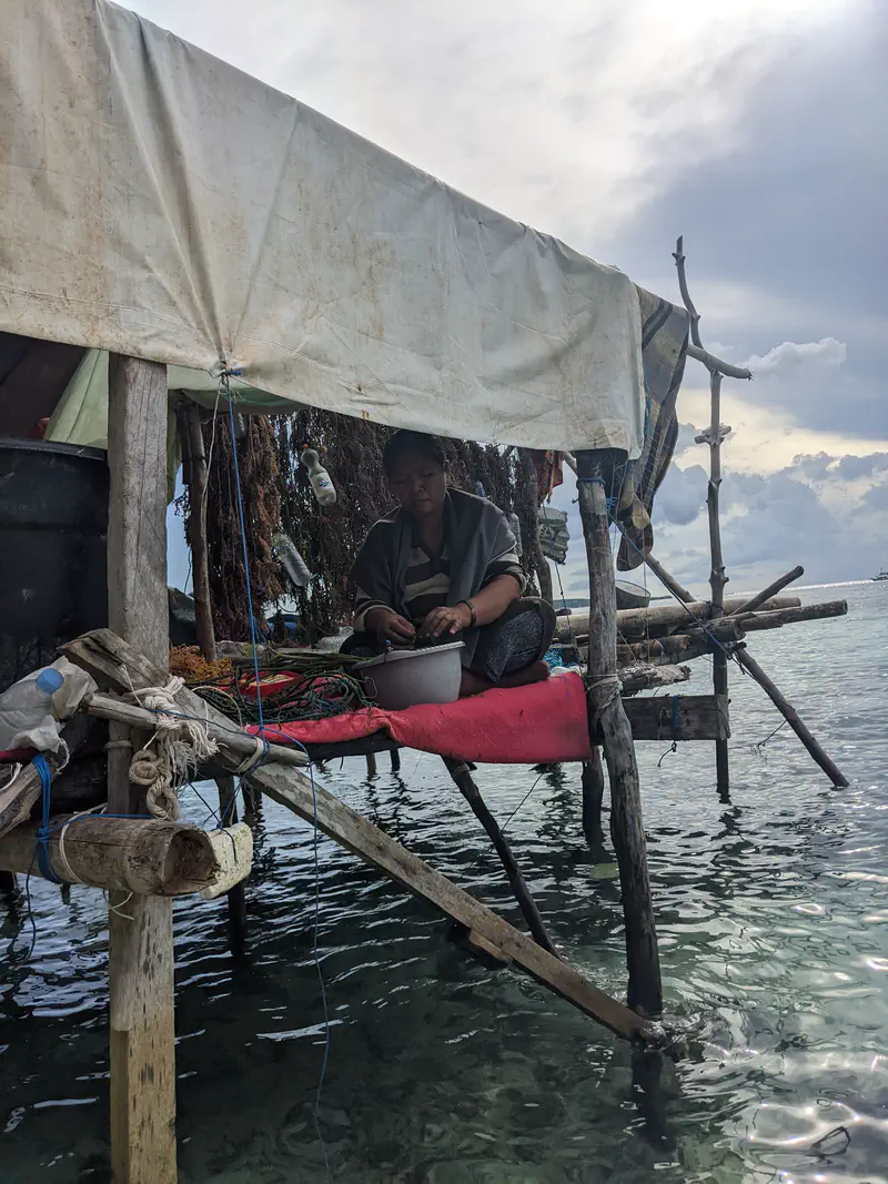 A woman sits on a red mat in a stilt hut above the water, working with seaweed inside a simple shelter made of wood and tarpaulin.
