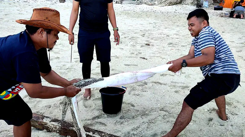 Two men on a sandy beach pulling on a large spotted eel-like fish, with a bucket placed on the ground between them and another person standing nearby.