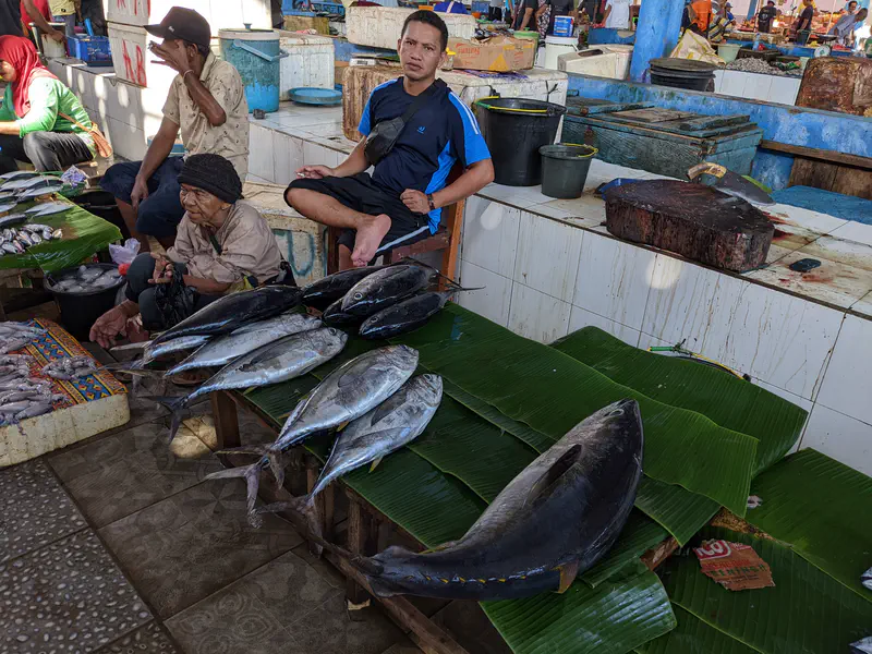 Vendors at a fish market with rows of tuna laid out on banana leaves.