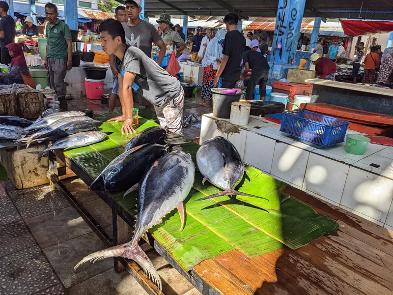 Vendors at a fish market with large tuna displayed on banana leaves.