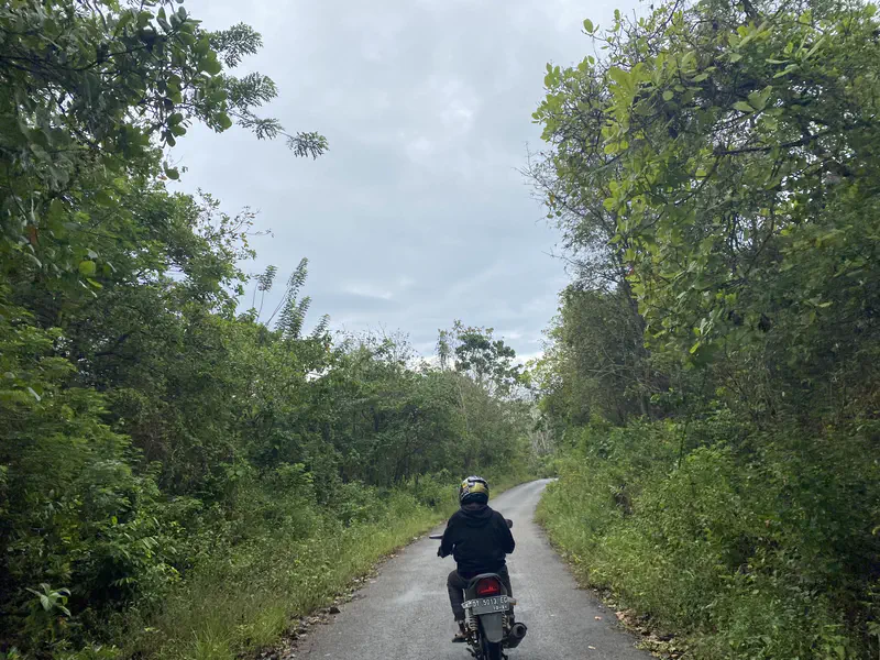 Motorcyclist riding along a narrow paved road surrounded by dense green forest.