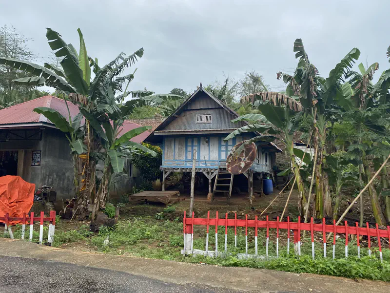 Traditional stilt house with a rusted satellite dish surrounded by banana trees along a village road.