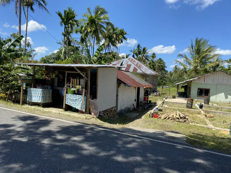 Small roadside shop and houses with palm trees under a bright blue sky.