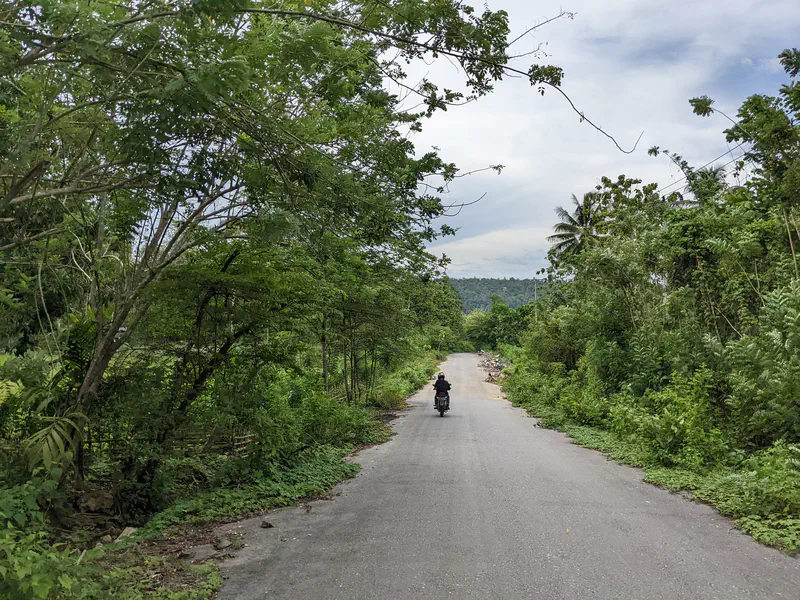Motorcyclist riding along a quiet rural road surrounded by dense green trees and vegetation.