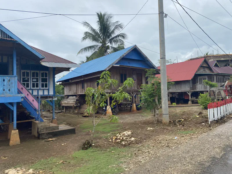 Traditional stilt houses with colorful roofs lined along a village road with palm trees.