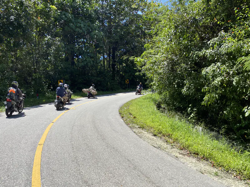 Group of motorcyclists riding around a curve on a forested road in bright daylight.