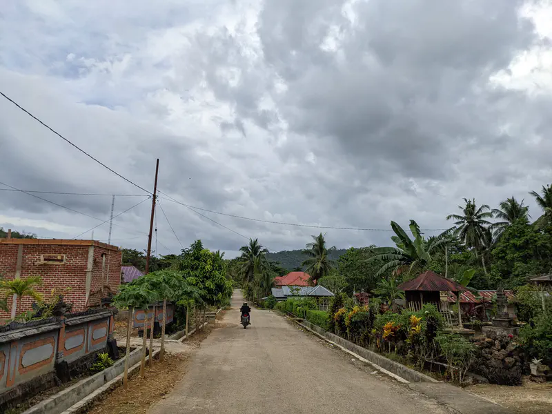 Motorcyclist riding down a village road lined with houses, gardens, and palm trees under cloudy skies.