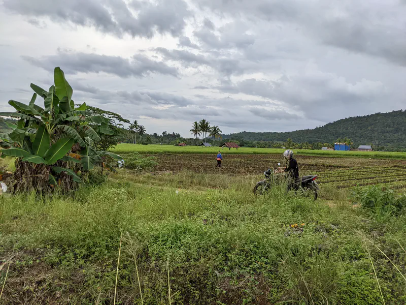 Person on a motorcycle beside farmland with another person working in the fields under a cloudy sky.