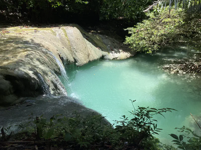 Small waterfall flowing into a turquoise pool surrounded by lush greenery.
