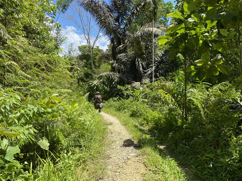 Person riding a motorbike with a backpack along a narrow dirt path through dense green jungle.