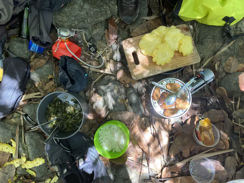 Camping meal with rice, vegetables, fried food, and sliced pineapple on the ground among gear.