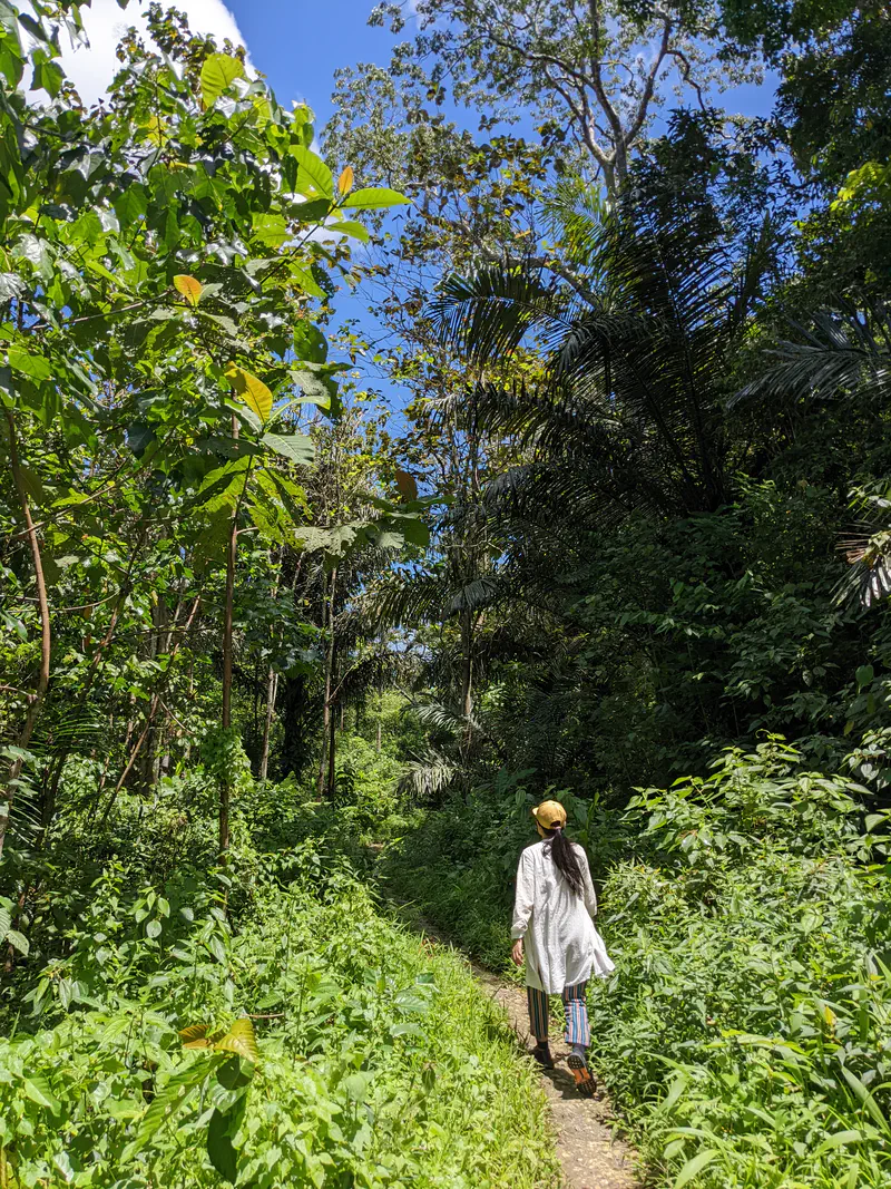 Woman wearing a hat and long shirt walking along a jungle path surrounded by lush greenery and tall trees.
