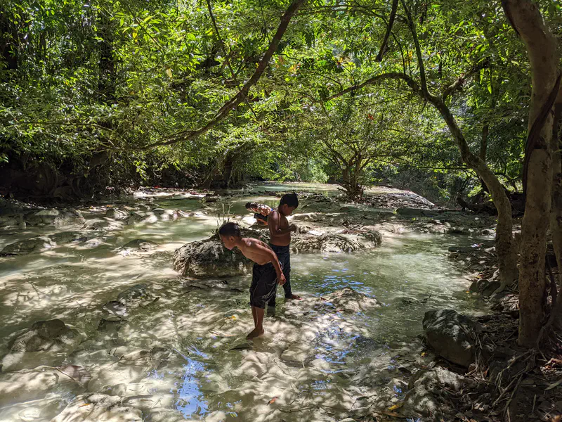 Two boys playing in shallow water under the shade of trees in a forest stream.