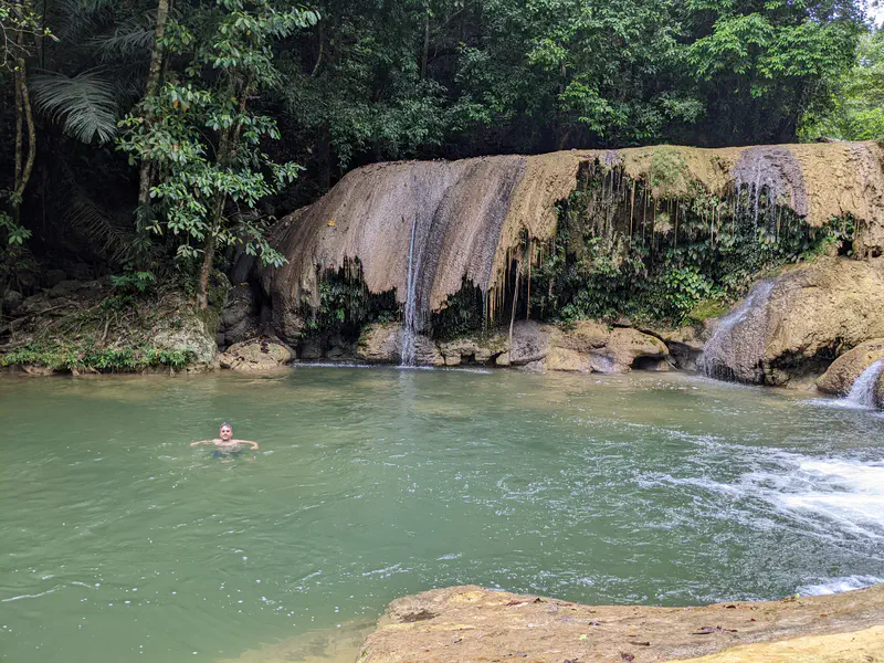 Person swimming in a green pool at the base of a wide waterfall surrounded by forest.
