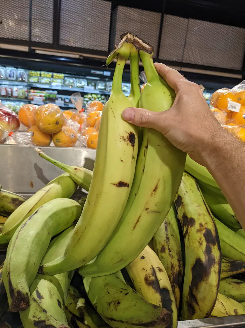 Hand holding large green plantains in a supermarket produce section.