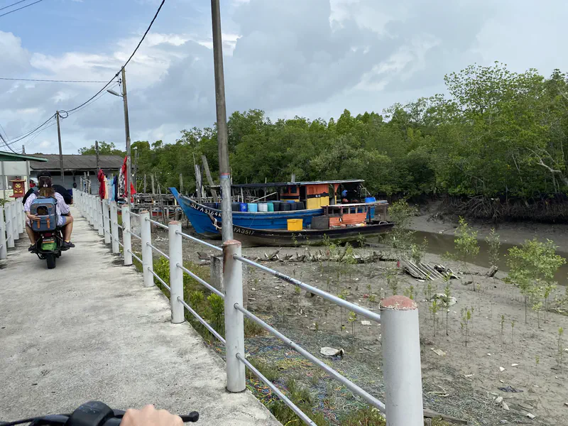 People on scooters ride along a narrow path beside a colorful fishing boat near mangroves at low tide.