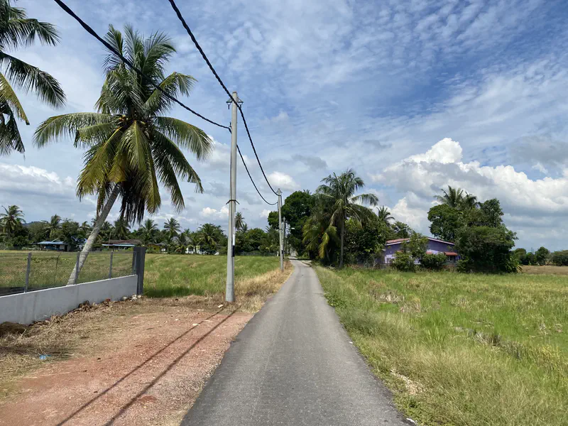 Narrow paved road through fields with palm trees and houses under a blue sky with clouds.