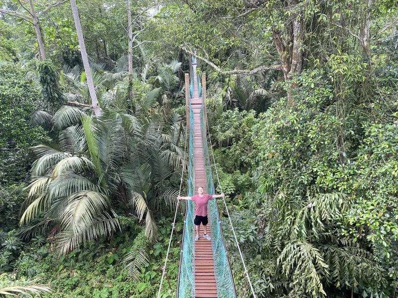 Person standing on a long suspension bridge above dense jungle greenery.