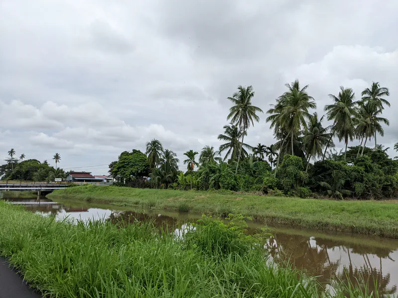 Calm river lined with grass and tall palm trees with houses visible in the background under cloudy skies.
