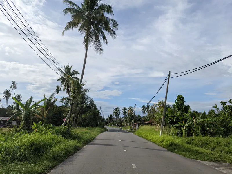 A quiet rural road lined with lush tropical plants and palm trees, stretching into the distance under a bright blue sky with scattered clouds.