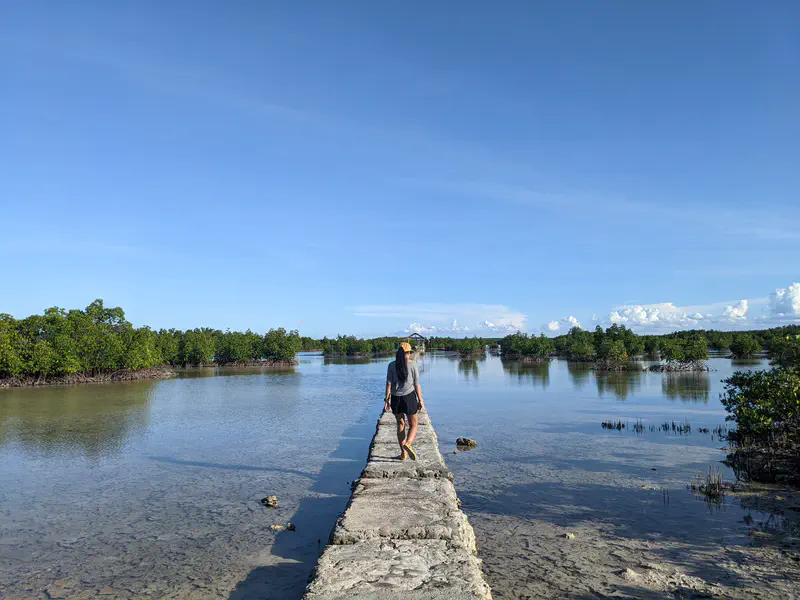 Person walking on a narrow stone path through shallow water surrounded by mangroves under a clear sky.