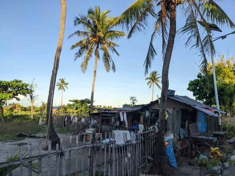 Simple rural house with tin roof surrounded by palm trees and a wooden fence.