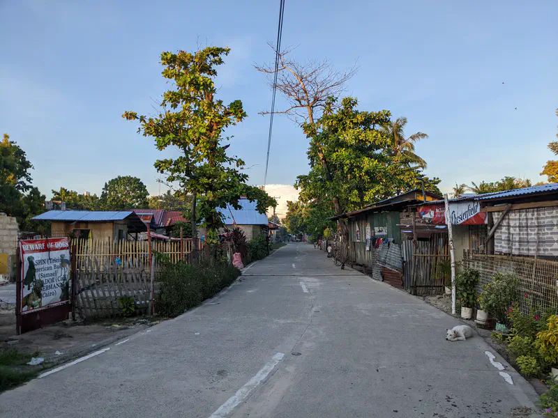 Quiet village street lined with small houses, trees, and a dog lying on the roadside.