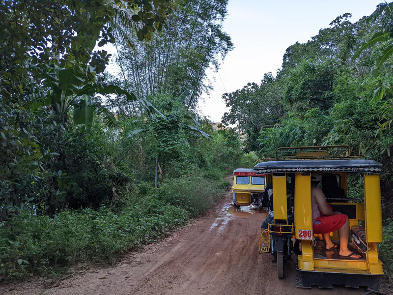 Yellow tricycles driving along a narrow dirt road surrounded by dense tropical vegetation.