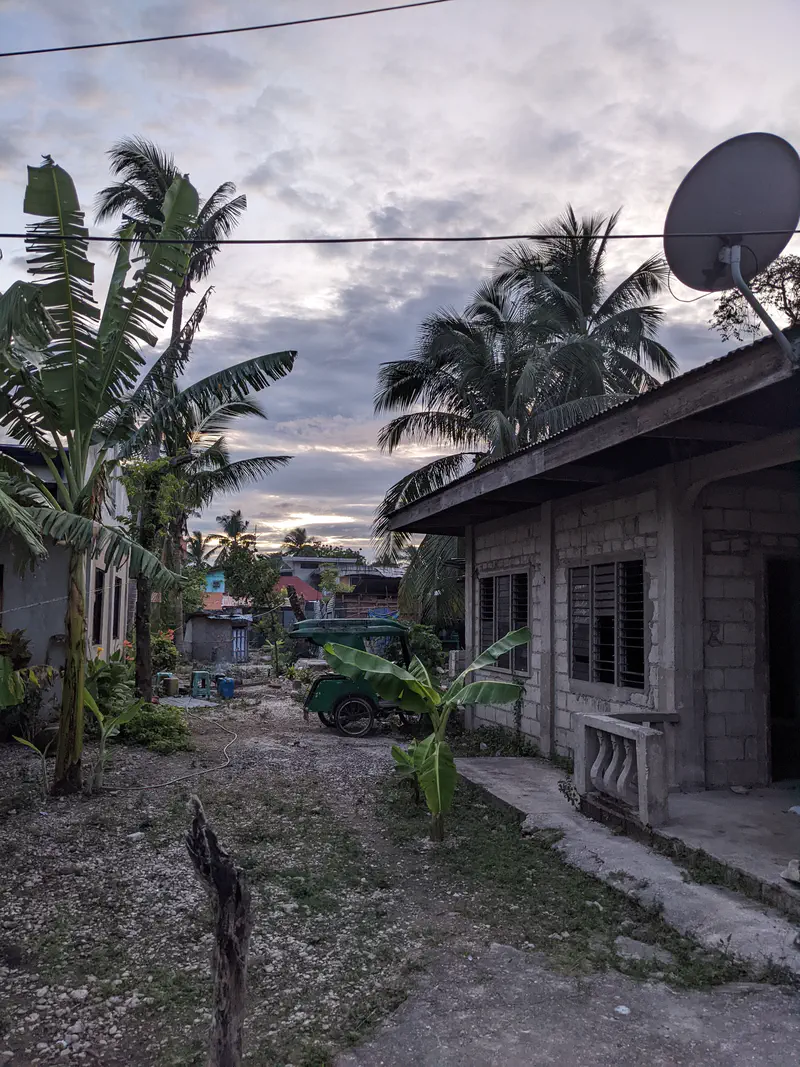 Green tricycle parked beside a concrete house with banana and palm trees at dusk.