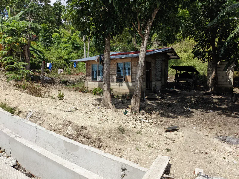 Small rural house with a tin roof and trees providing shade in front.