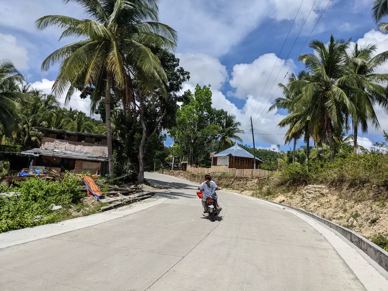 Person riding a motorcycle on a concrete road lined with palm trees and houses.
