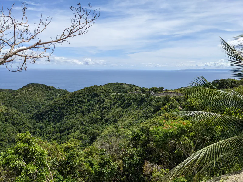 Scenic view of forested hills leading to the ocean under a partly cloudy sky.