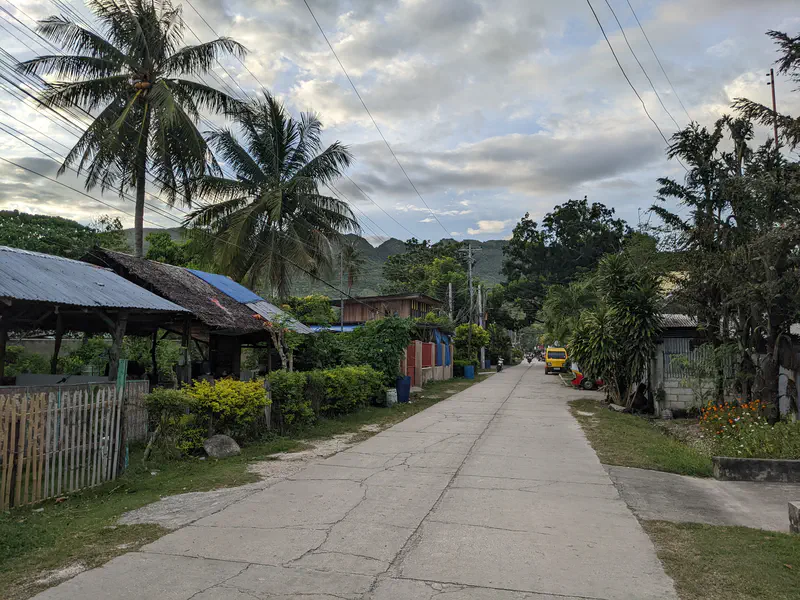 Concrete village road shaded by trees with stone walls along one side.